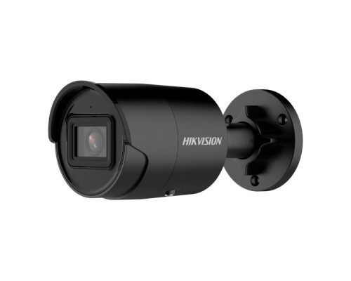IP-відеокамера 4 Мп Hikvision DS-2CD2043G2-IU Black (2.8 мм) AcuSense з відеоаналітикою та вбудованим мікрофоном для системи відеонагляду